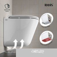 IDDIS Ray RAYRDSEi25