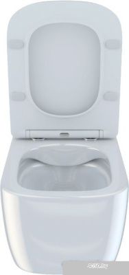 Унитаз IDDIS Bridge BRIRDSEi25